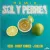 Sech / Daddy Yankee / J Balvin - Sal Y Perrea (Remix)