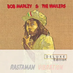 Bob Marley - Rebel Music (3 OClock Road Block)