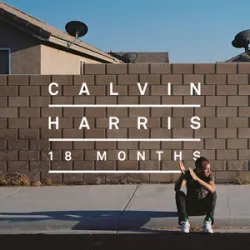 Calvin Harris - Desire