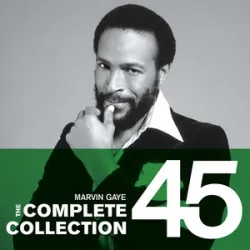 Marvin Gaye - Too Busy Thinking About My Bab