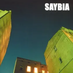 The Second You Sleep - Saybia