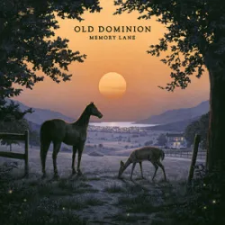 Old Dominion W/ Megan Moroney - Cant Break Up Now*