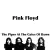 Pink Floyd - Chapter 24