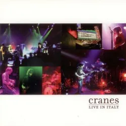 Cranes - Shining Road