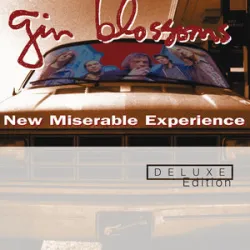 Gin Blossoms - Until I Fall Away