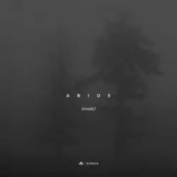 Aaron Williams - Abide