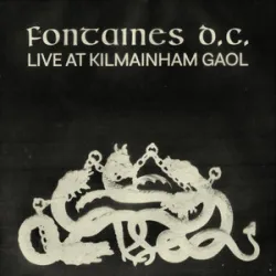 Fontaines DC - A Heros Death