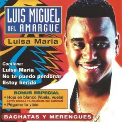 Luis Miguel Del Amargue - Tus 15 Años