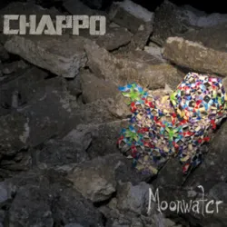 Chappo  - Come Home