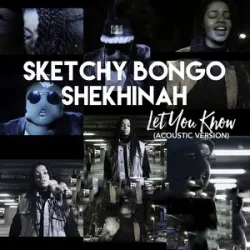 Let You Know  - Sketchy Bongo