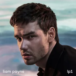 Liam Payne Feat Quavo - Strip That Down