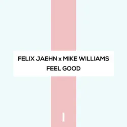 Felix Jaehn & Mike Williams - Feel Good (Extended Mix)
