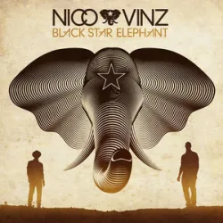 NICO & VINZ - Am I Wrong 2014