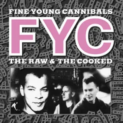 Fine Young Cannibals - Im Not The Man I Used To Be