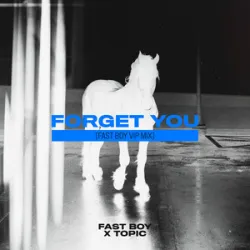 FAST BOY/TOPIC - Forget You (Record Mix)