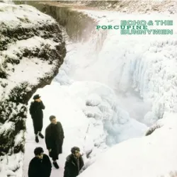 Echo & The Bunnymen  - Back Of Love