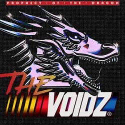 THE VOIDZ - Prophecy Of The Dragon