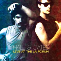 Hall & Oates - I Cant Go For That