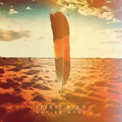 Xavier Rudd - Follow The Sun