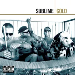 Sublime - WHAT I GOT