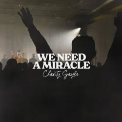 Charity Gayle - We Need A Miracle