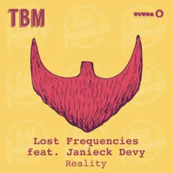 LOST FREQUENCIES/JANIECK DEVY - Reality (Record Mix)