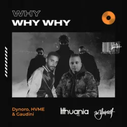 DYNORO FT HVME & GAUDINI - WHY WHY WHY