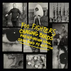 Foo Fighters - Chasing Birds
