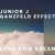 Junior J Ganzfeld Effect - Edge Of A Dream