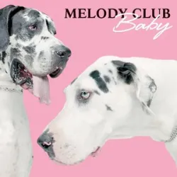 MELODY CLUB - BABY