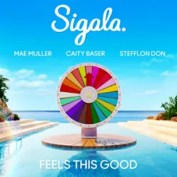 Sigala Mae Muller & Caity Bas - Feels This Good