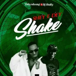 Toby Shang Feat Dj Ruffy - Shey E Dey Shake