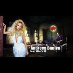 Andreea Banica - In Lipsa Ta (Radio Edit)