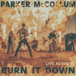 Parker McCollum - Burn It Down(Radio Edit)