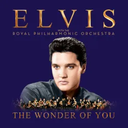 Elvis Presley & Royal Philharmonic Orchestra - The Wonder Of You