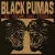 Black Pumas - Ice Cream
