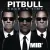 Pitbull - Back In Time (Album Version)