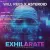 Will Rees X Asteroid - Exhilarate