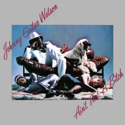 Johnny Guitar Watson - Your Love Is My Love (1977)