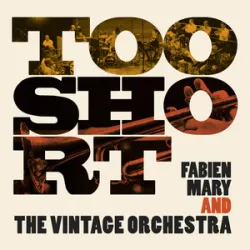 Fabien Mary & The Vintage Orchestra - Hells Kitchen Blues