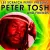 Peter Tosh - No Sympathy