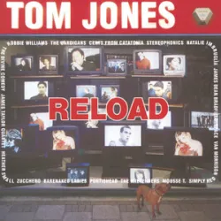 TOM JONES & MOUSE T - SEX BOMB (REMIX)