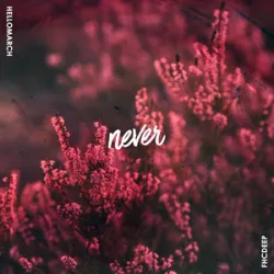 Hellomarch - Never