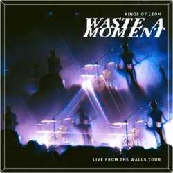 Kings Of Leon - Waste A Moment