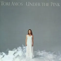 Tori Amos - Cornflake Girl -
