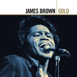 JAMES BROWN - THE PAYBACK
