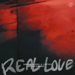 Martin Garrix Feat Lloyiso - Real Love