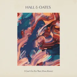 Hall & Oates - I Cant Go For That (No Can Do)