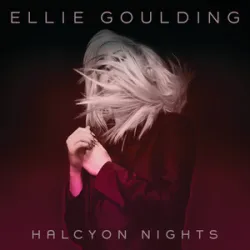 Calvin Harris/Ellie Goulding - I Need Your Love