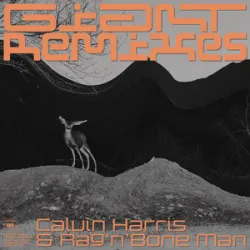 Calvin Harris RagnBone Man - Giant